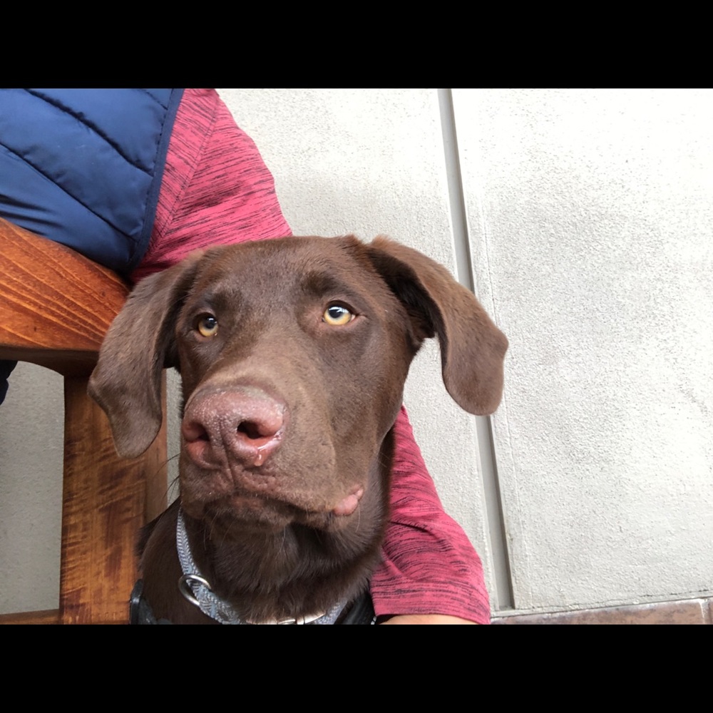 Meet your Posher, Willie